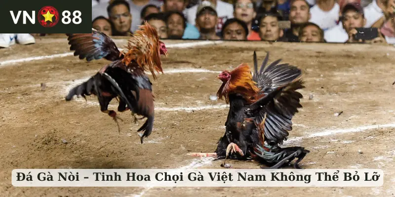 đá gà nòi