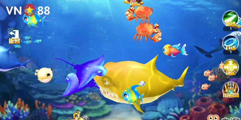 Quy trình chơi bắn cá xèng